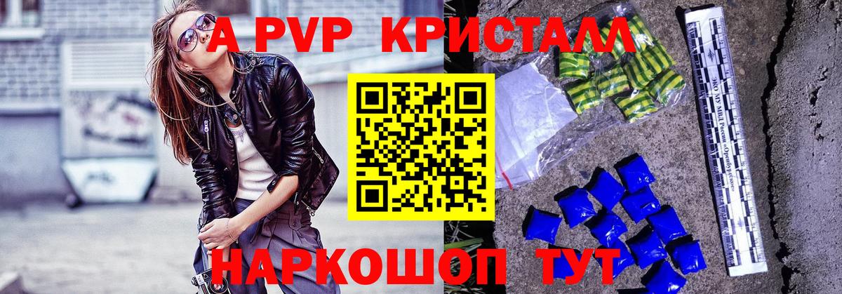 Альфа ПВП СК Курчатов