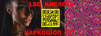 эйфоретик Камышлов