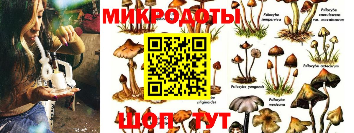Псилоцибиновые грибы мицелий  Псилоцибиновые грибы Psilocybe  Вход с VPN  дарнет шоп  Курчатов 